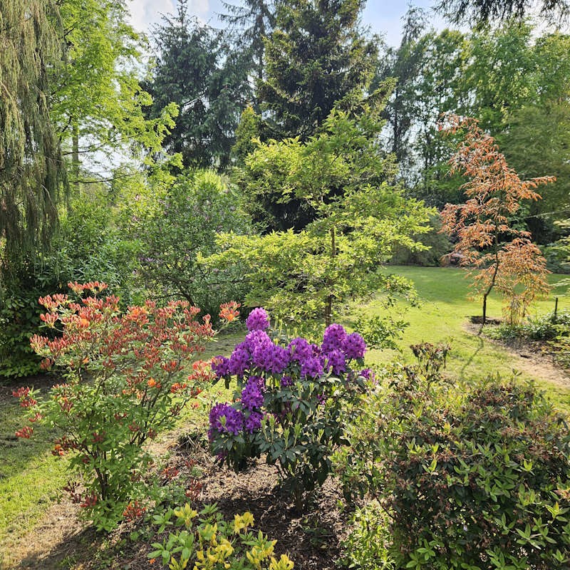 Gardens in summer